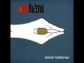 pinhani - sevmekten usanmam