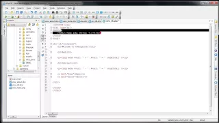 CodeIgniter Tutorials Introduction to CodeIgniter MySQL Database Getting Values Part 8 11 You
