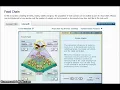 GIZMO Food Chain Simulation