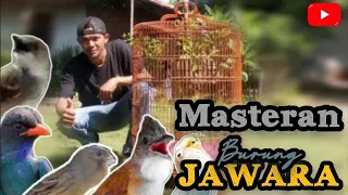 Download SUARA KOMBINASI MASTERAN BURUNG LENGKAP TERBAIK JERNIH @sanggarkicaumastering MP3