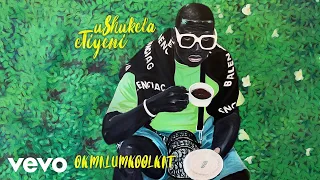 okmalumkoolkat uthando to the t visualizer ft debra nist