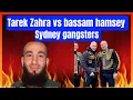 Peter vaiusu triggz - bassam hamzy vs tarek zahed