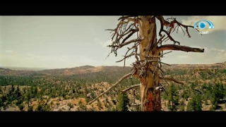 كيف أتقبل شكلي ياسر الحزيمي 