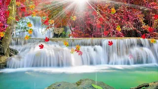 Download Beautiful Relaxing Music, Peaceful SoothingInstrumental Music, \ MP3