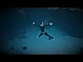 Download Lagu Freediving at Dusk in Paradise Reef