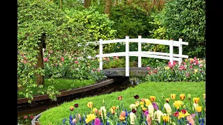 يا جسرا خشبياـــ فيروز 