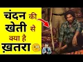 Download Lagu चंदन की खेती से क्या है ख़तरा ?🧐 #shorts #chandan #ytshorts by #arvindarora
