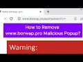 Remove www.borwap.pro Malicious Popups and Phishing Ads