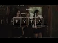 PVTA - Tito Double P Visualizer