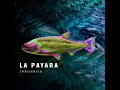 Bogotá - La Payara