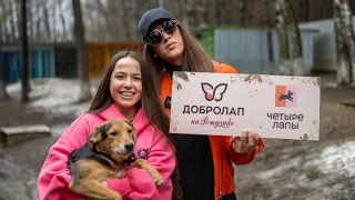 Добролап: итоги 17-ой благотворительной акции, Алексей Жидковский × РусДог