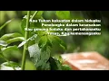 Download Lagu Yesus PadaMu Kuberseru - Symphony Worship - Video Lirik