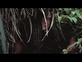 Creedence Clearwater Revival - Run Through The Jungle (Vietnam heavy combat footage)