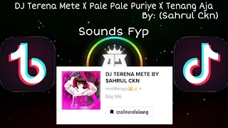 Download DJ Terena Mete X Pale Pale Puriye X Tenang Aja🎵|| By: (Sahrul Ckn)🎭|| Sounds Kane Viral Tik Tok 🎶🔥 MP3