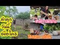 Download Lagu ส้มตำปลาย่าง ไก่ย่าง ทำทุกวันให้ดีขึ้นเพื่อใคร #บ้านนอก #แม่บ้านอีสาน