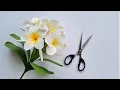 How To Make Plumeria Obtusa Paper Flower Paper Flower Goc nho Handmade