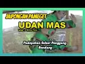 Jaipongan Pameget Udan Mas - Sindén Rita Tila