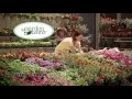 Mills Fleet Farm Garden Center Now OPEN