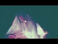 IRENE DRESEL "HYPER CRISTAL" - 1er album - SORTIE LE 29.03.19