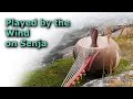 Download Lagu Relaxing N´goni in the Wind  I  Frank Heinkel