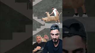 طريقة الهروب من الاسد  طريقة الهروب من الاسد