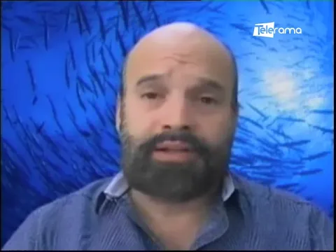 Día Mundial de los océanos ¿Cómo Ecuador contribuye a sus cuidado?