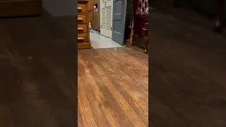 يا بطة يا بطة يا سمينة 