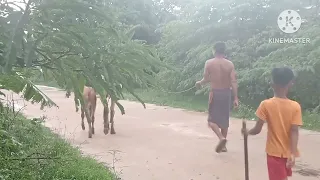 km 20260318 1080p 60f 20260318 040210