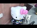 ニューヨークのハロウィンのVlog🎃 不気味に飾られた家々や童話を探検