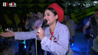 ابليس زميلي بليل يا جاي لي حنان احمد عادل صانوه افراح اولاد هندي 