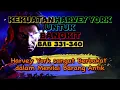 Download Lagu Kekuatan Harvey York Untuk Bangkit BAB 331-340