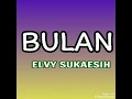 Bulan - ELVY SUKAESIH ( lagu dangdut jadul )