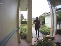 The difference between our FedEx and USPS deliveries today