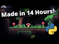 I Made a Game in 14 Hours with Python Timelapse