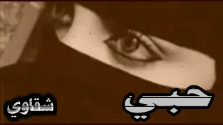 شيلة حبي أداء طير شلوى 