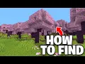How To Find Cherry Blossom Biome In Minecraft INSTANTLY
