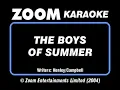 The Boys Of Summer (Don Henley) Karaoke Lyrics