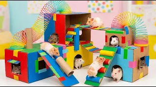 บ้านแสนน่ารักสำหรับหนูแฮมสเตอร์และเพื่อนตัวจิ๋ว DIY