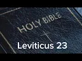 Leviticus 23 NIV The Bible