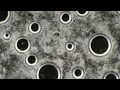 Max Cooper - Inanimate to Animate (Official video by Jip Mus)