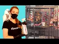 How to Clean a Bird Cage Safely DIY Cage Cleaner BIRD CARE