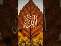 Download Lagu Semoga lantunan ayat suci ini menjadikan hati dan pengingat untuk selalu berlindung kepada Allah.