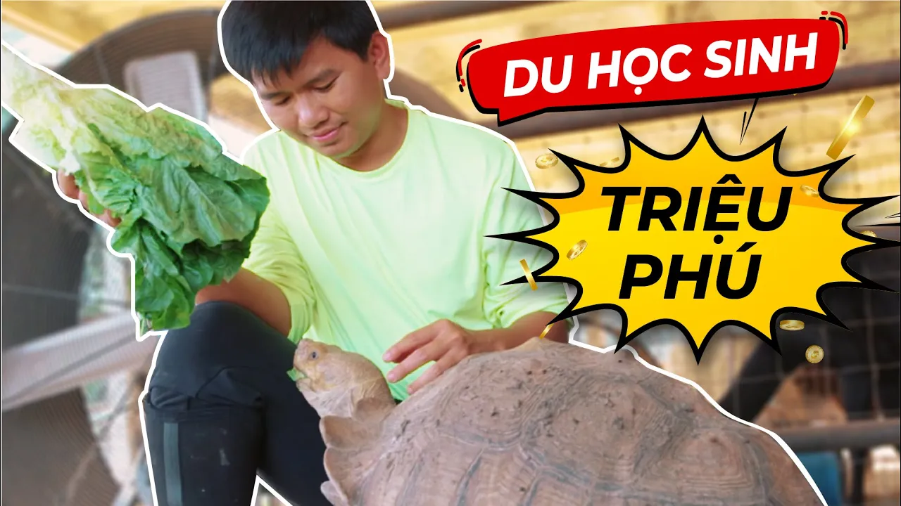 🔥 🔥 ANH CHÀNG DU HỌC SINH QUA MỸ THÀNH TRIỆU PHÚ 🔥 🔥