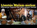 Download Lagu HIDUP DI DESA | MENIKMATI SUASANA MALAM SAMBIL LIWETAN BERSAMA PAK TUKANG