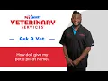 How to Give Your Dog a Pill PetSmart Veterinary Services