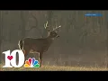 New online tools available to help document track and manage spread of CWD in wildlife
