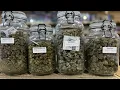 Boardwalk Vapes - Destin Smoke Vape Shop Near Me Disposable Vapes Glass Pipes Hookah