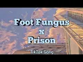Download Lagu Foot Fungus x Prison | TikTok Song