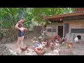 Download Lagu 3 MAANDEN ZWANGER in mijn OFF-GRID BOSHUIS | Van Wild naar Stad, Oogsten en Tuinieren