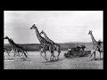 Hatari Main Title